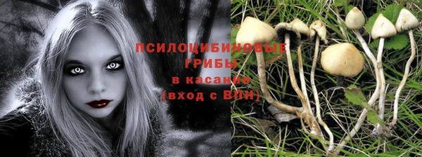дживик Алексеевка