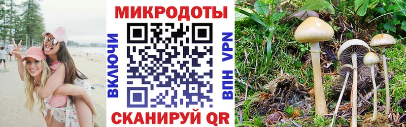 магазин  наркотиков  Щигры  Галлюциногенные грибы мухоморы 